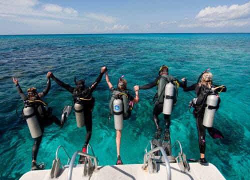 Scuba Diving Open Water in Hurghada Schnorcheln und Tauchen