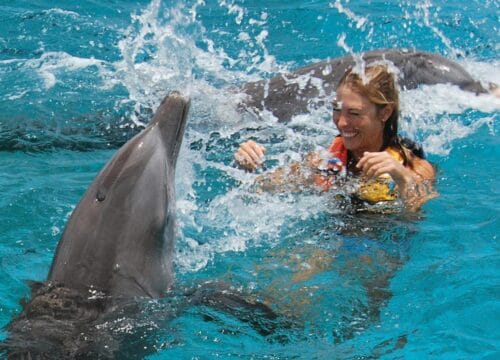 Delphinfahrt Hurghada