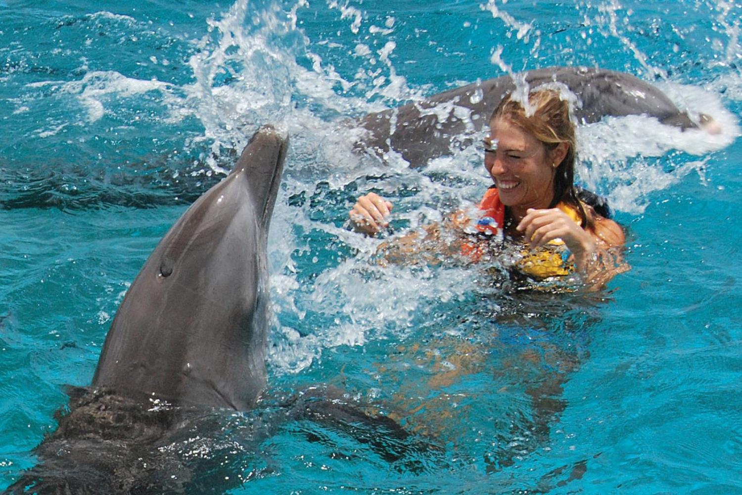 Delphinfahrt Hurghada