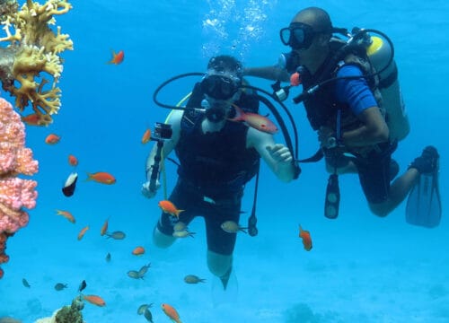 Tiran Insel Schnorcheln Tagesausflug